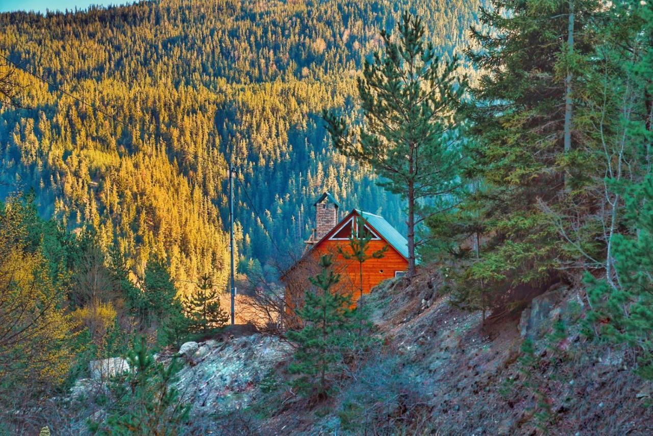 Cozy Cottage Feel Free Continental Didi Ateni Bagian luar foto