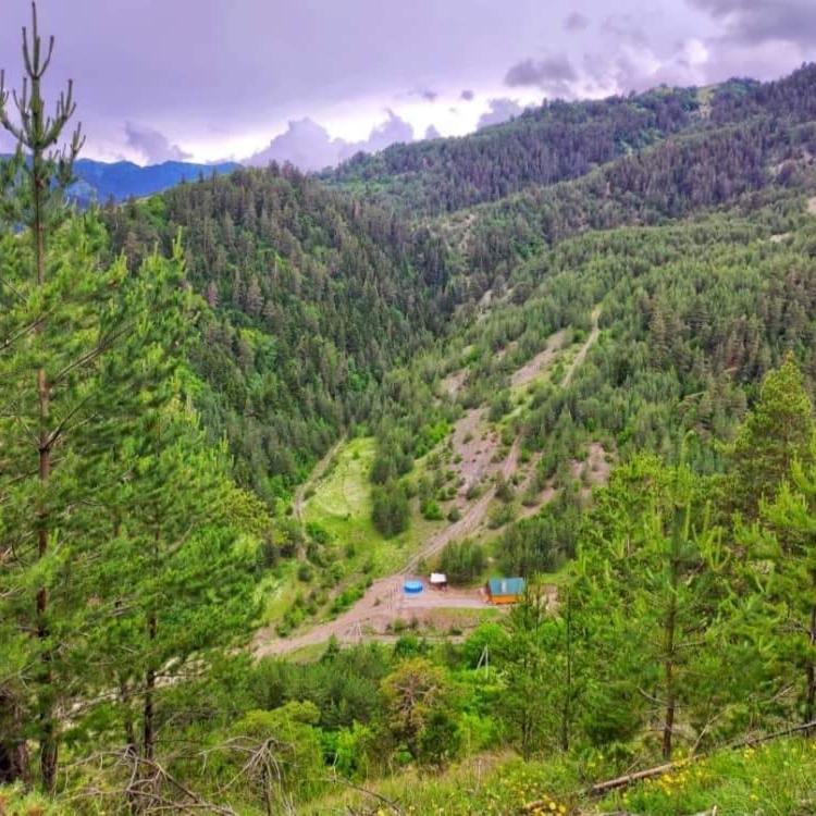 Cozy Cottage Feel Free Continental Didi Ateni Bagian luar foto