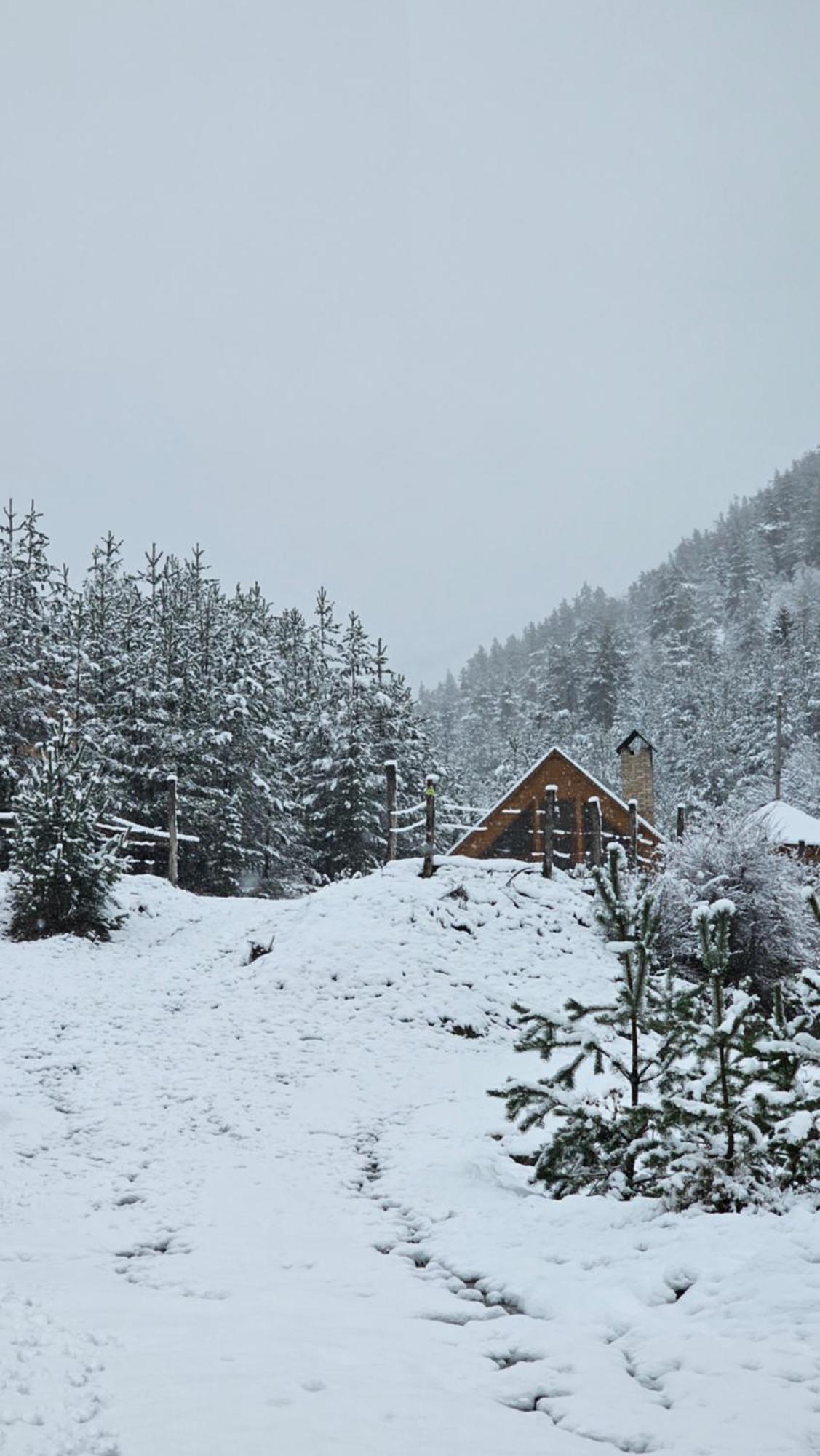 Cozy Cottage Feel Free Continental Didi Ateni Bagian luar foto